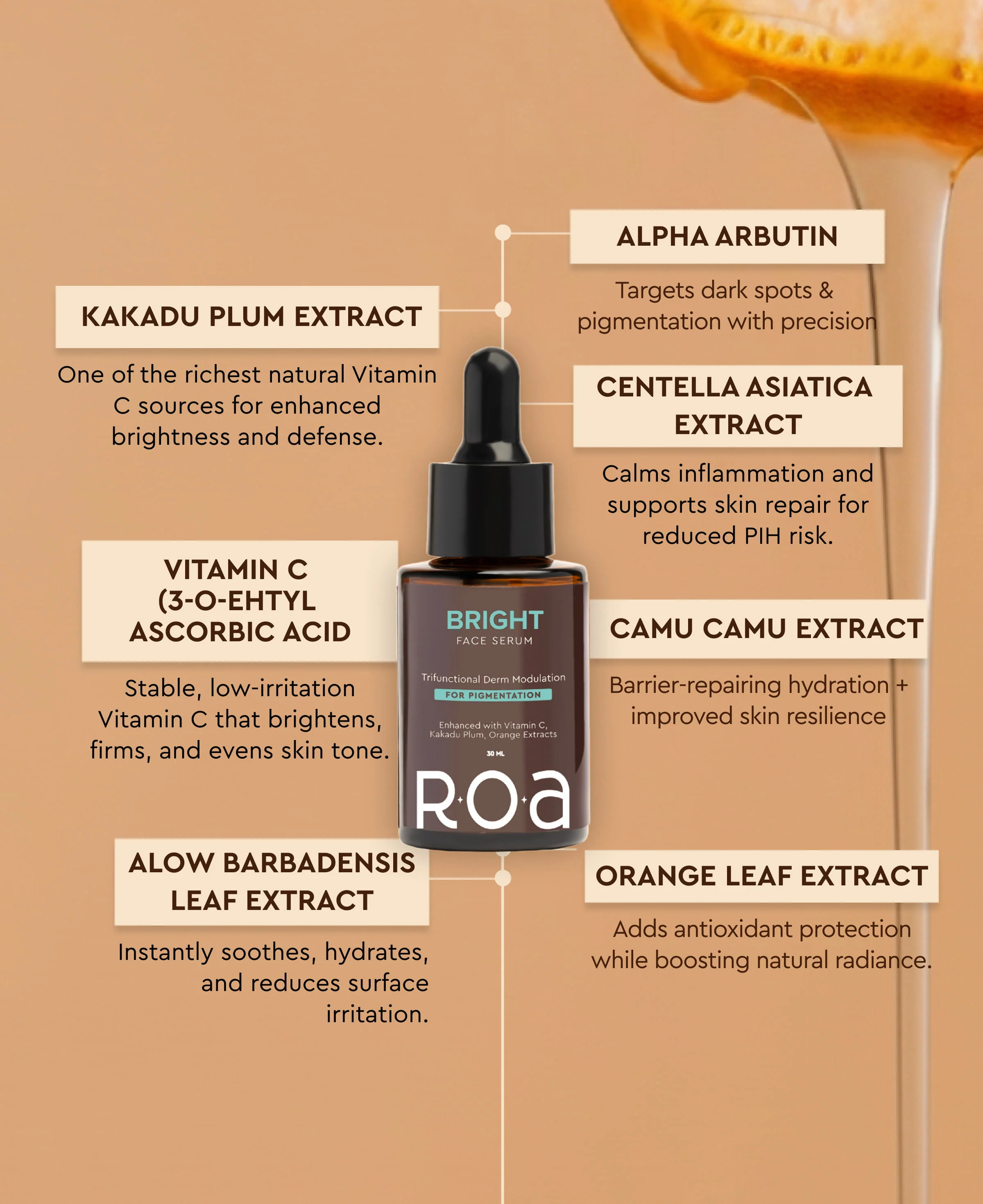 Melanin-Rich Oily Skin Glow Kit (Advanced) - Image 8